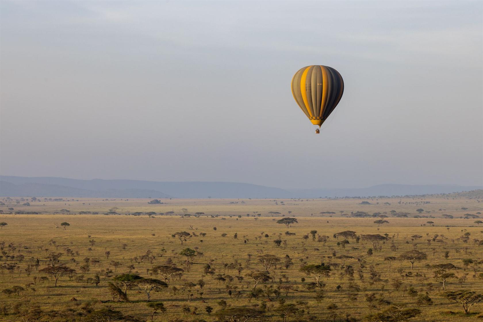 Montgolfière au-dessus de la savane africaine