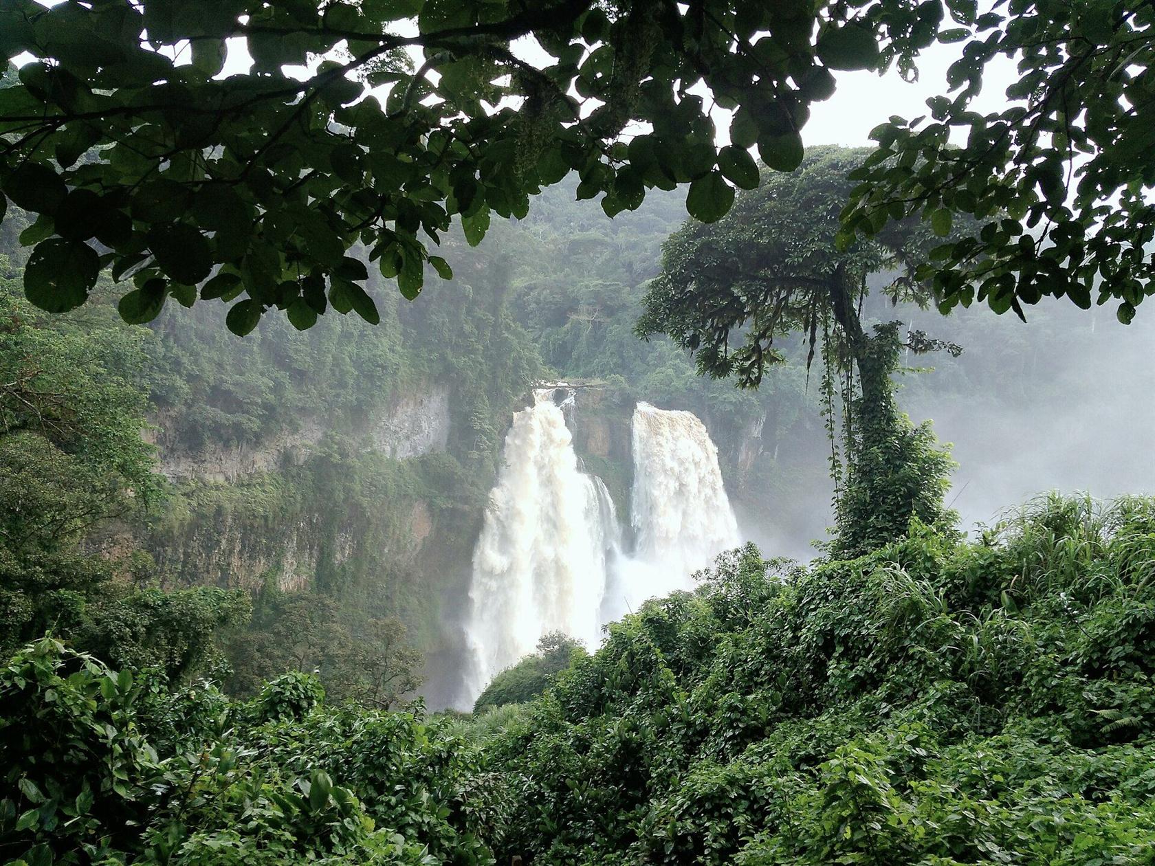 Chutes d'Ekom-Nkam, Cameroun