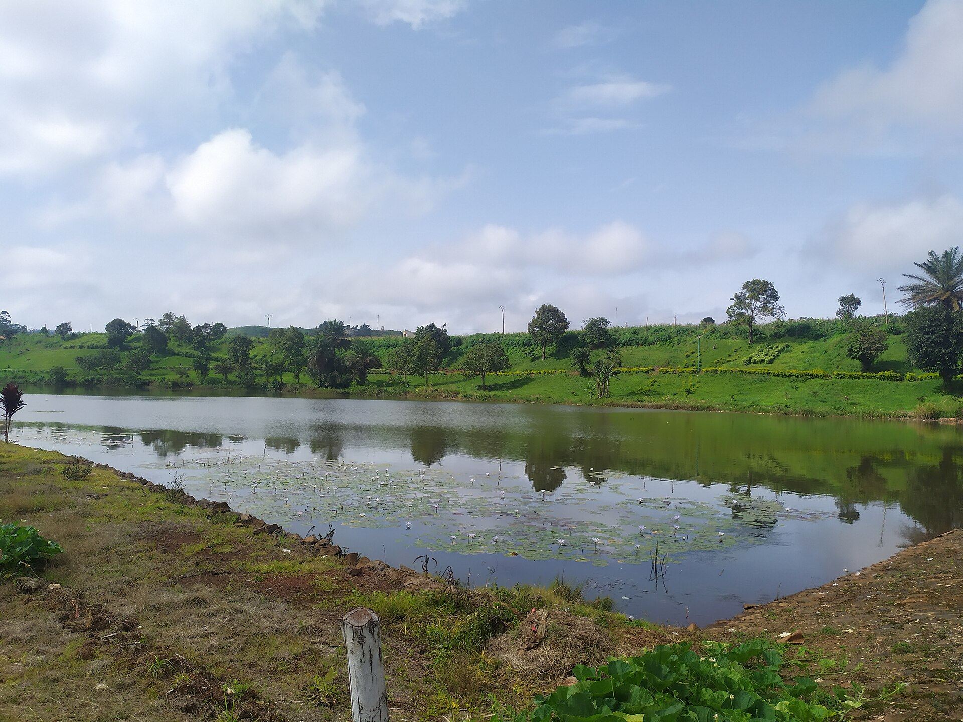 Le lac municipal de Dschang