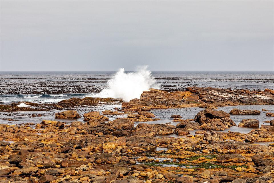 Côte rocheuse du cap de Bonne-Espérance