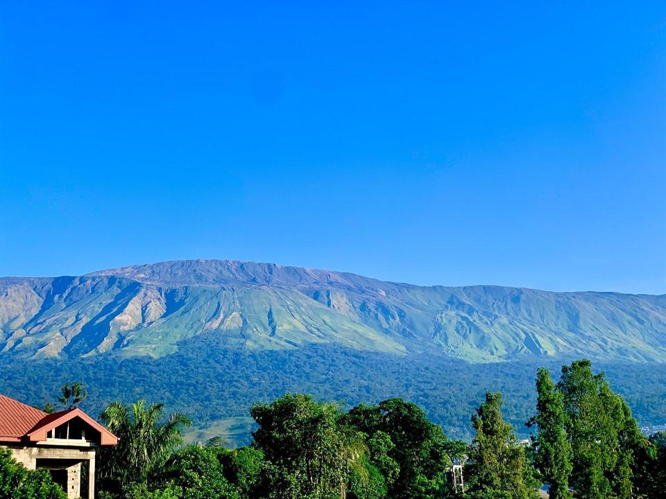 Le Mont Cameroun dominant la forêt