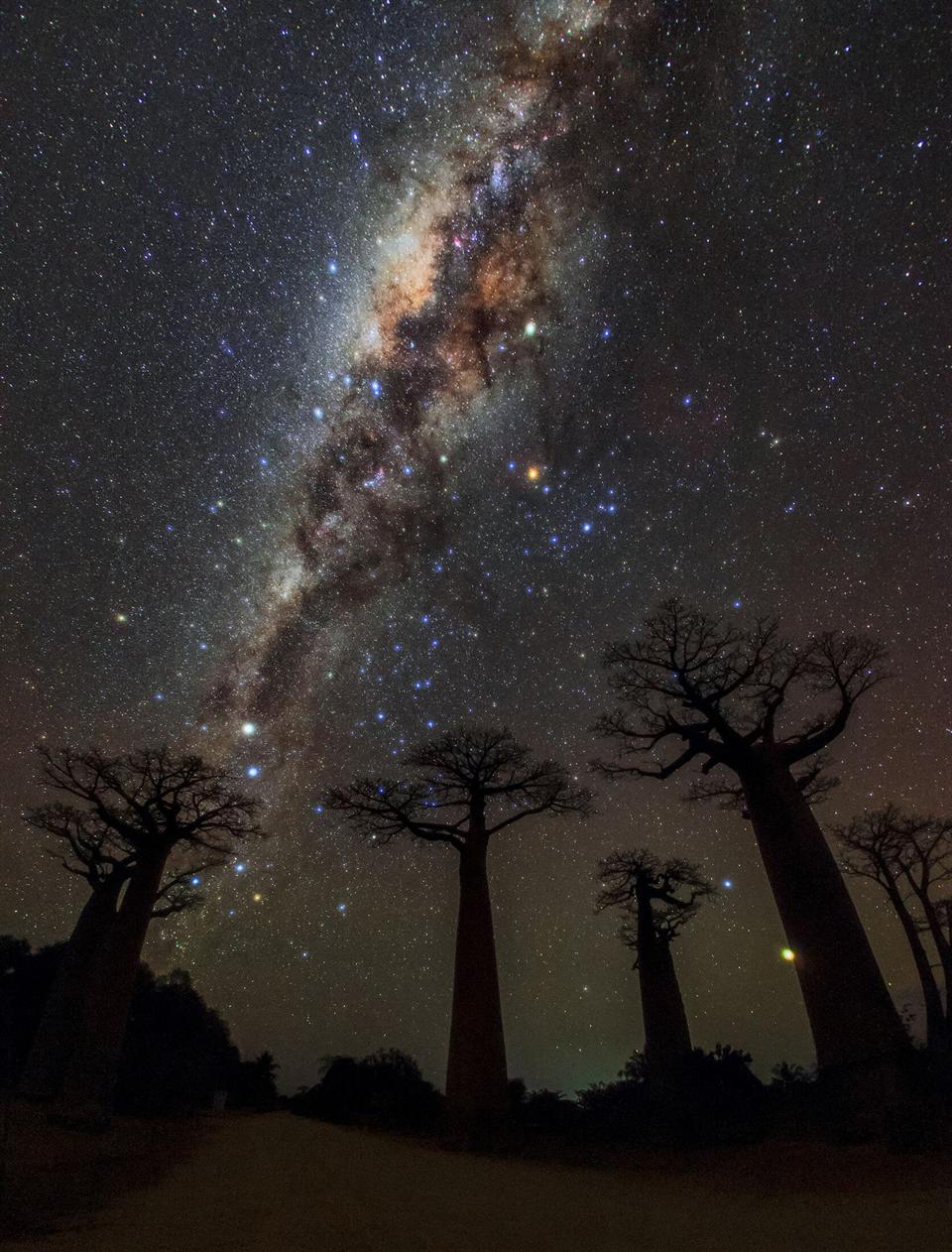 Voie lactée sur l'allée des Baobabs