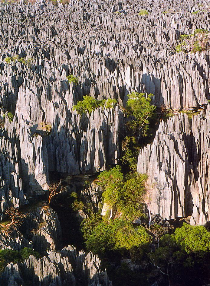 Tsingy de Bemaraha