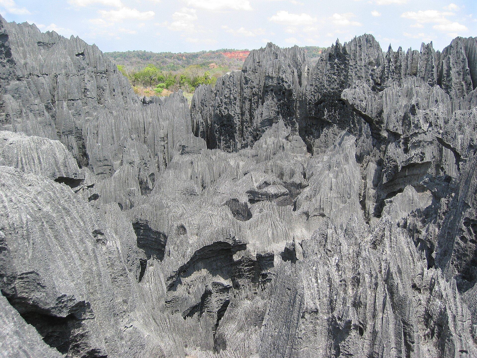 Réserve naturelle des Tsingy de Bemaraha