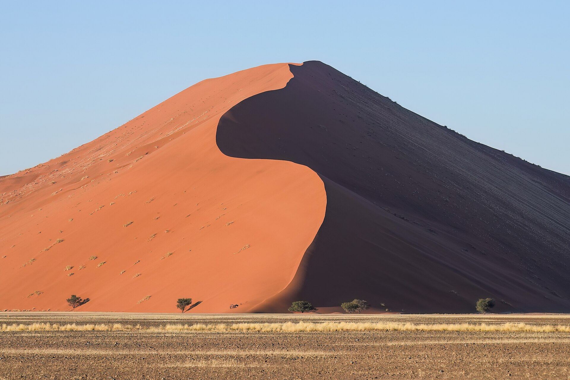 Lever de soleil sur la dune 45 à Sossusvlei