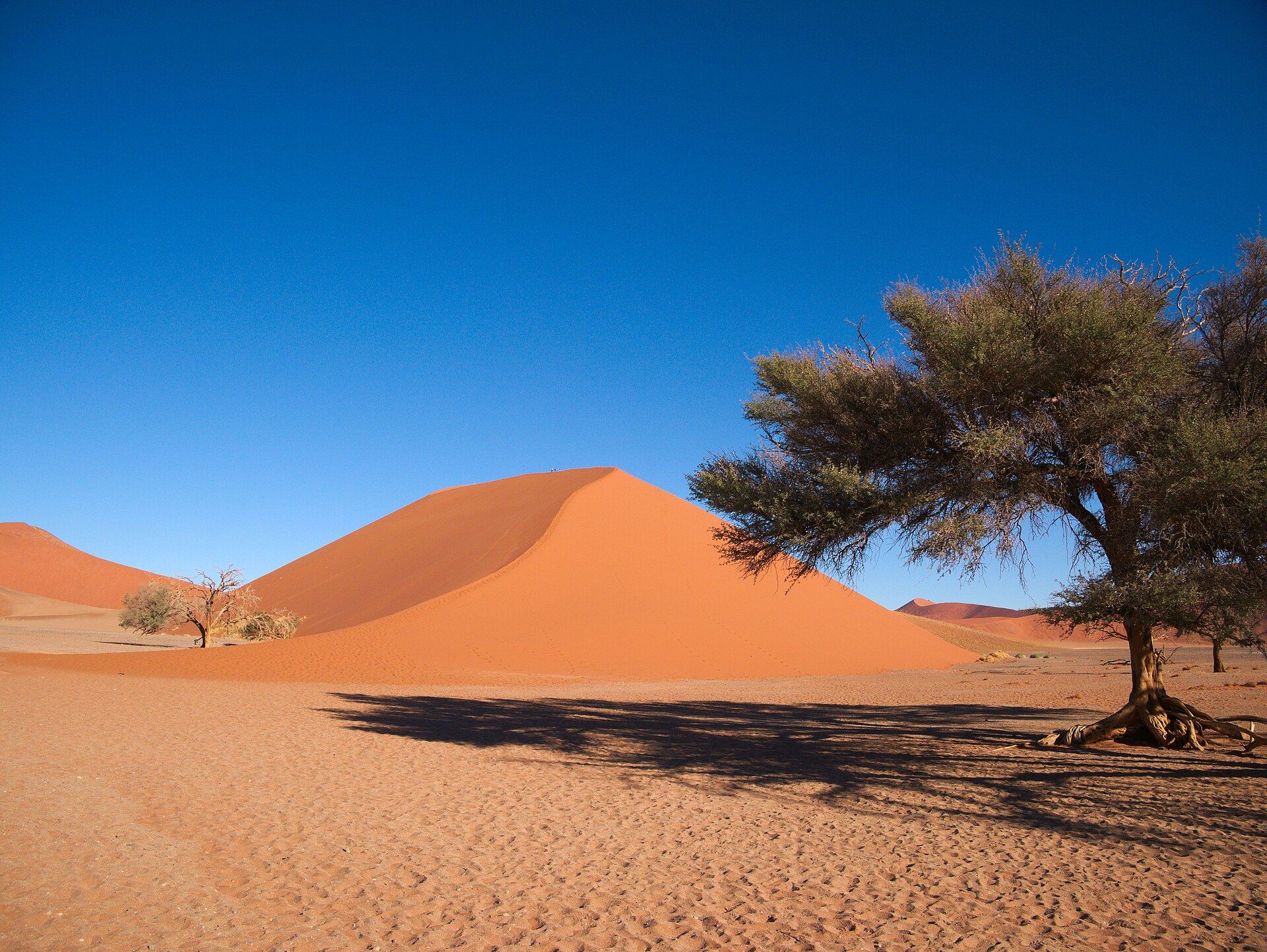 La dune 45