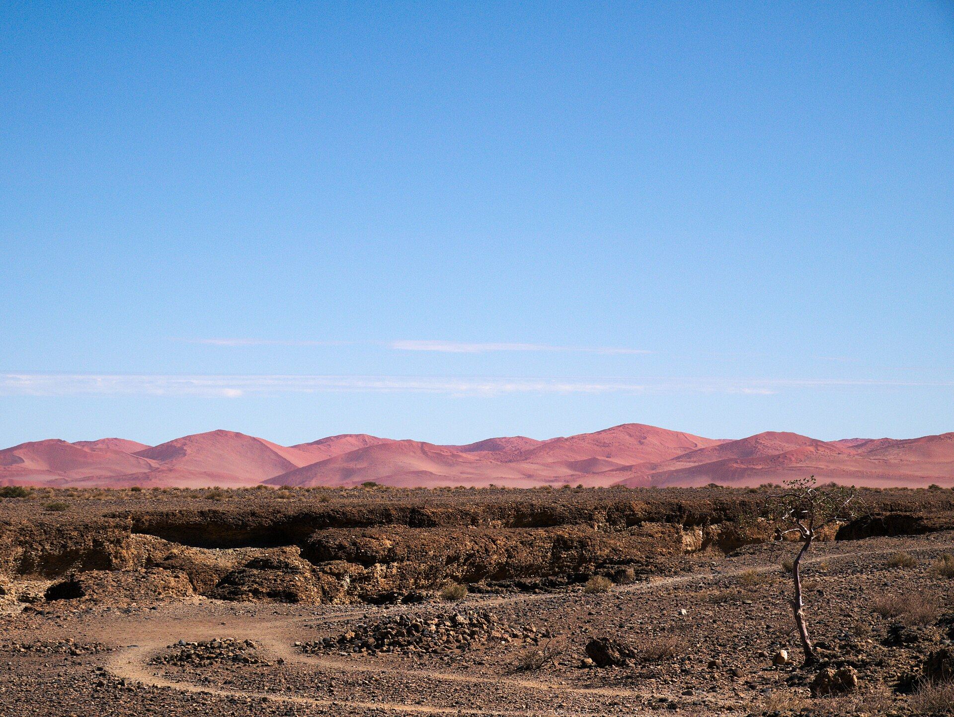 Plaine de Sesriem et dunes rouges à l'horizon