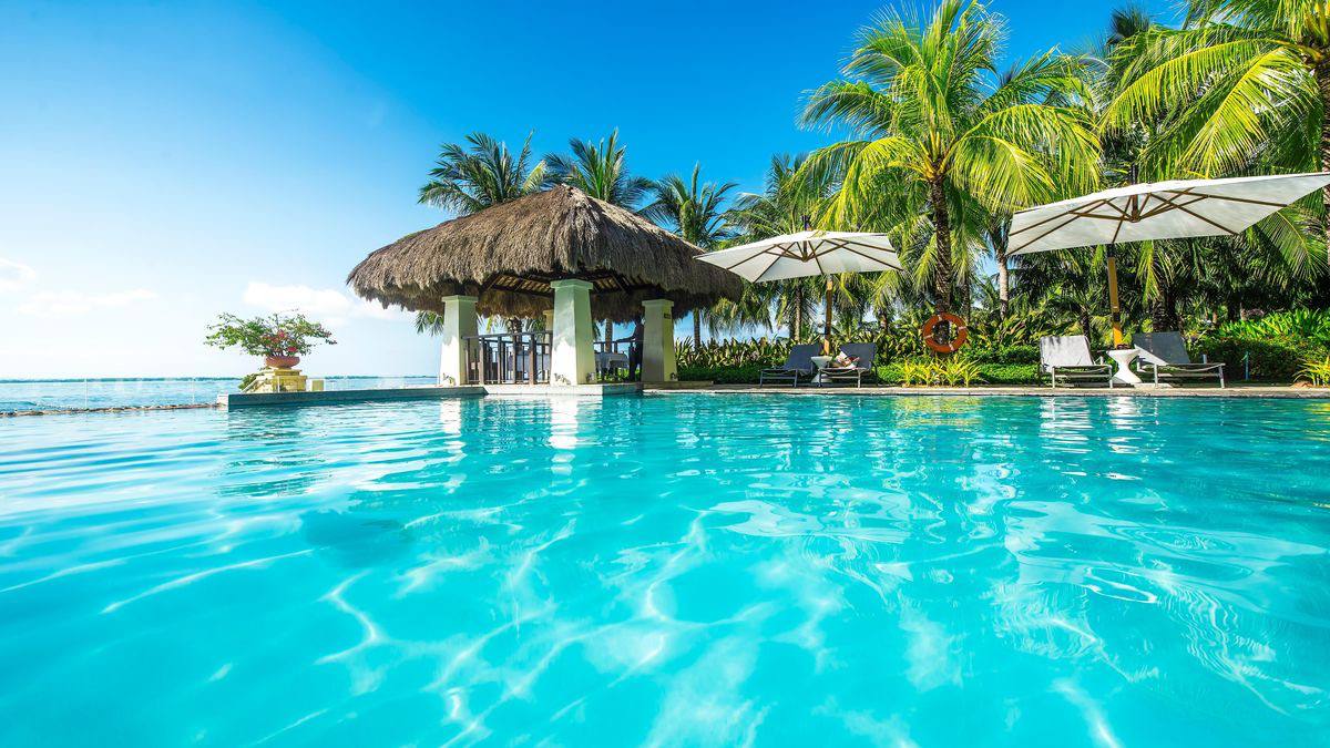 Piscine d'un resort tropical et palmiers