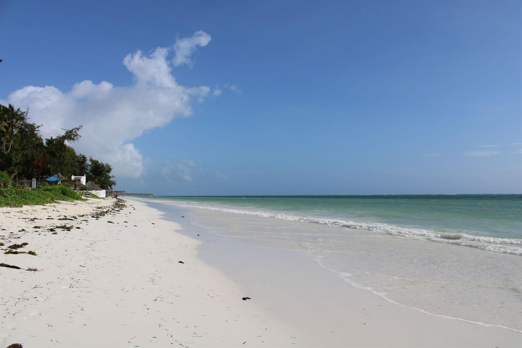 Plage tropicale à Zanzibar