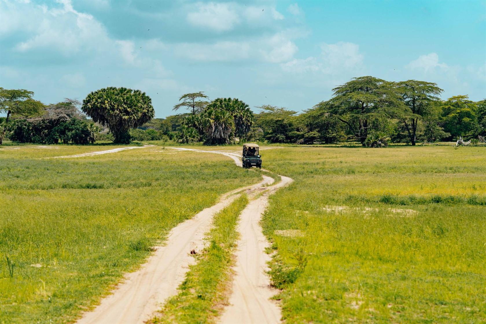 Véhicule safari observant la faune africaine