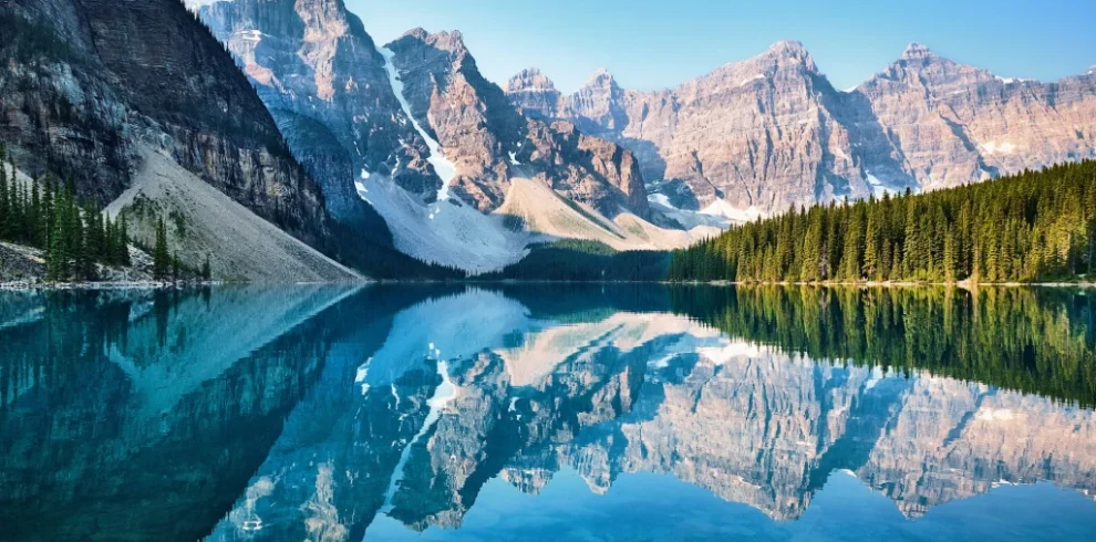 trip 7